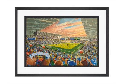 Cardiff City Stadium Fine Art Print - Cardiff City FC